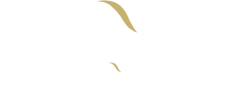 Dark Logo 1