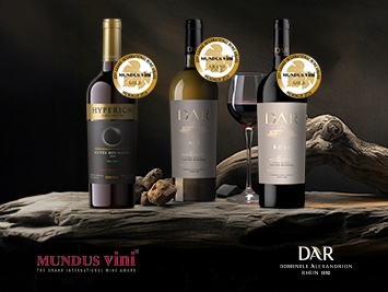 3 Gold Medals for our wines at “MUNDUS VINI Summer Tasting 2024”